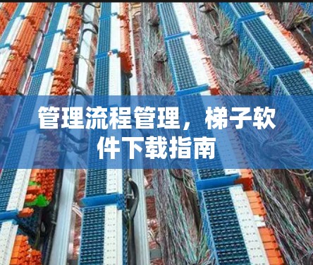 管理流程管理,梯子软件下载指南 管理流程管理,梯子软件下载指南