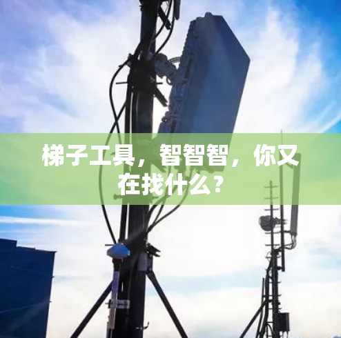 梯子工具，智智智，你又在找什么？