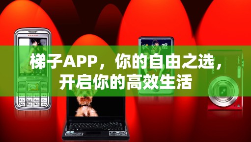 梯子APP,你的自由之选,开启你的高效生活 梯子APP,你的自由之选,开启你的高效生活