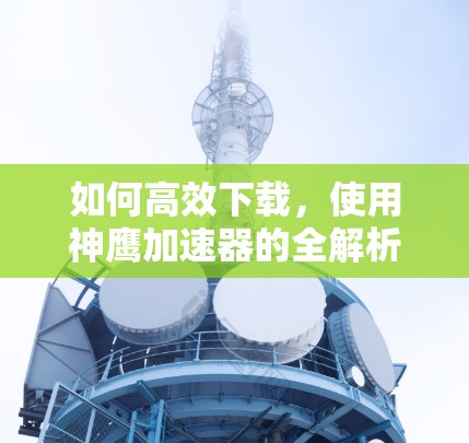 如何高效下载,使用神鹰加速器的全解析 如何高效下载,使用神鹰加速器的全解析