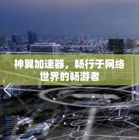 神翼加速器,畅行于网络世界的畅游者 神翼加速器,畅行于网络世界的畅游者
