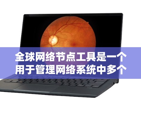 全球网络节点工具是一个用于管理网络系统中多个节点的软件工具，旨在优化网络性能、确保安全和高效的数据传输。以下是关于这个工具的详细信息