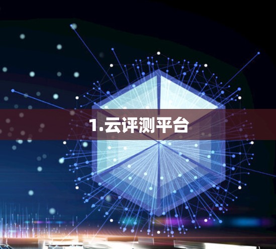 1.云评测平台