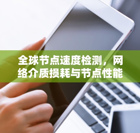 全球节点速度检测,网络介质损耗与节点性能评估