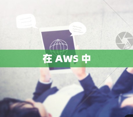在 AWS 中