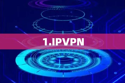 1.IPVPN