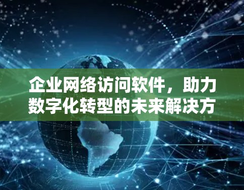 企业网络访问软件,助力数字化转型的未来解决方案 企业网络访问软件,助力数字化转型的未来解决方案