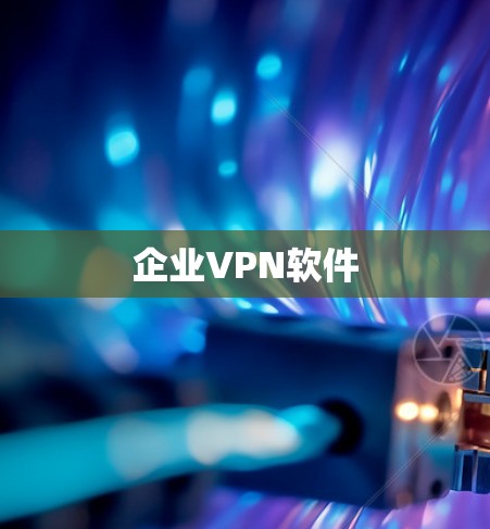 企业VPN软件