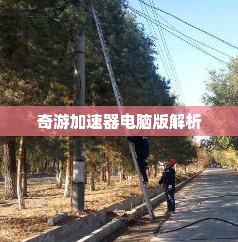 奇游加速器电脑版解析
