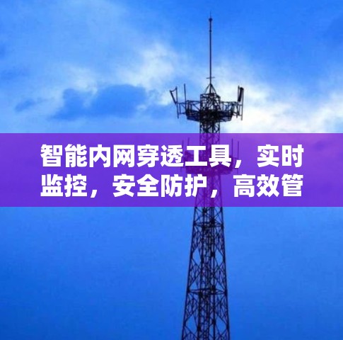智能内网穿透工具，实时监控，安全防护，高效管理