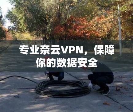 专业奈云VPN，保障你的数据安全