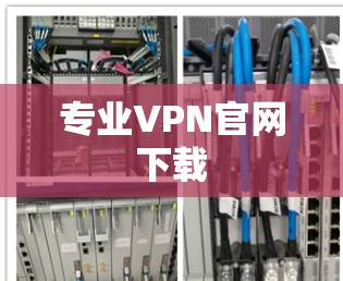 专业VPN官网下载 专业VPN官网下载