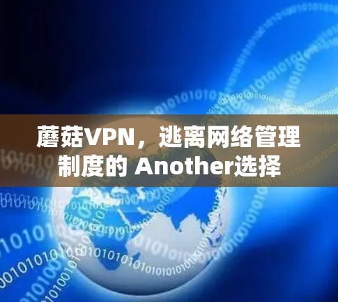 蘑菇VPN，逃离网络管理制度的 Another选择