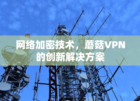 网络加密技术,蘑菇VPN的创新解决方案 网络加密技术,蘑菇VPN的创新解决方案