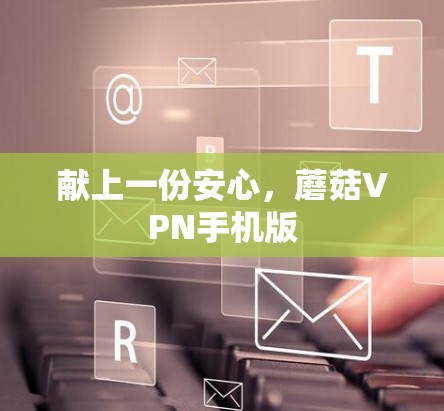 献上一份安心，蘑菇VPN手机版