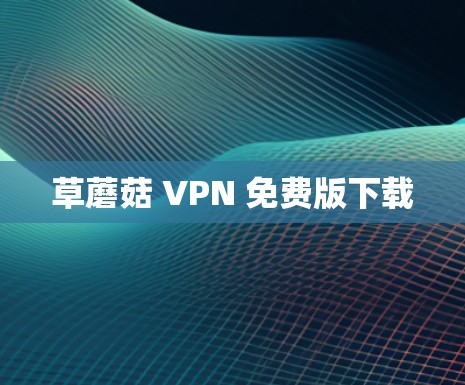 草蘑菇 VPN 免费版下载 草蘑菇 VPN 免费版下载