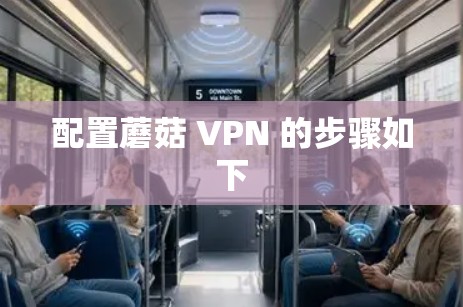 配置蘑菇 VPN 的步骤如下