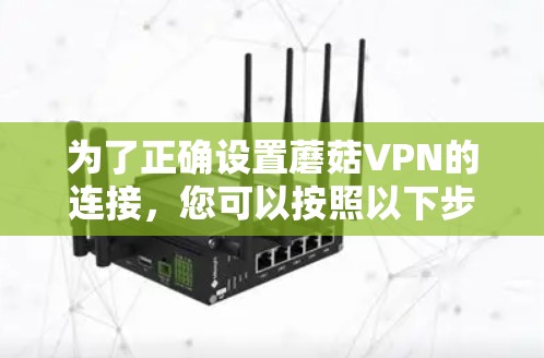 为了正确设置蘑菇VPN的连接，您可以按照以下步骤进行操作