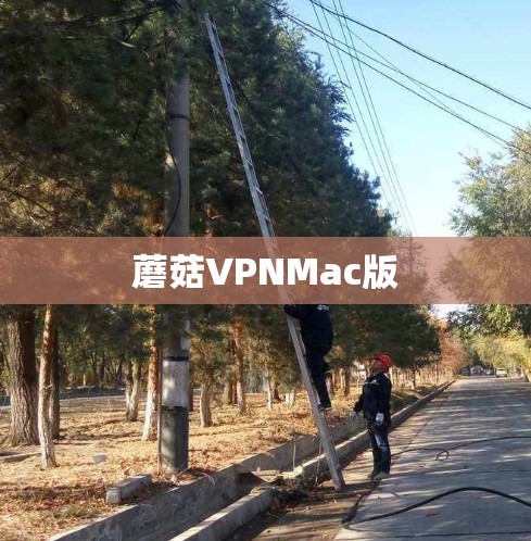 蘑菇VPNMac版 蘑菇VPNMac版