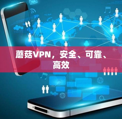 蘑菇VPN,安全、可靠、高效 蘑菇VPN,安全、可靠、高效