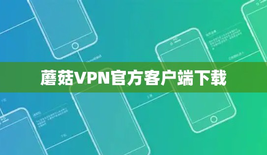 蘑菇VPN官方客户端下载