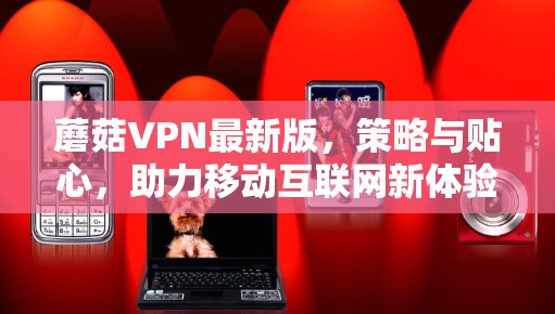 蘑菇VPN最新版,策略与贴心,助力移动互联网新体验 蘑菇VPN最新版,策略与贴心,助力移动互联网新体验