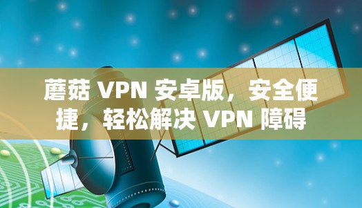 蘑菇 VPN 安卓版，安全便捷，轻松解决 VPN 障碍