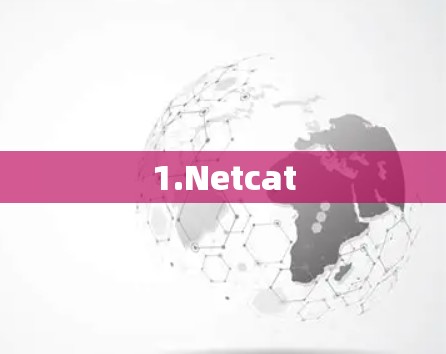 1.Netcat 1.Netcat