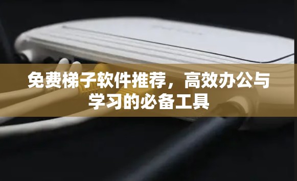 免费梯子软件推荐,高效办公与学习的必备工具 免费梯子软件推荐,高效办公与学习的必备工具