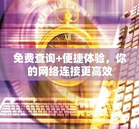 免费查询+便捷体验,你的网络连接更高效 免费查询+便捷体验,你的网络连接更高效