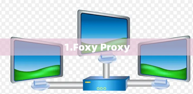 1.Foxy Proxy 1.Foxy Proxy