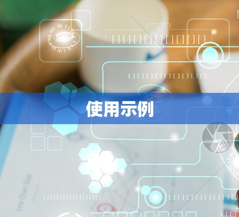 使用示例 使用示例