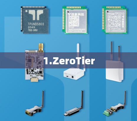 1.ZeroTier 1.ZeroTier