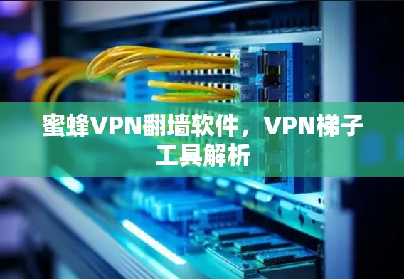 蜜蜂VPN翻墙软件，VPN梯子工具解析
