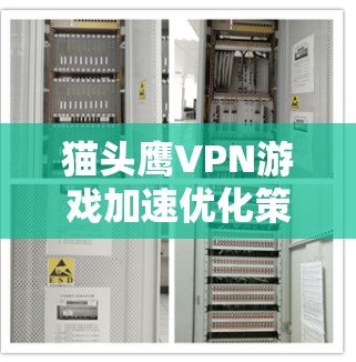 猫头鹰VPN游戏加速优化策略研究 猫头鹰VPN游戏加速优化策略研究