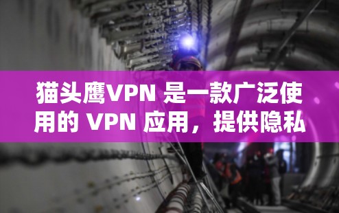 猫头鹰VPN 是一款广泛使用的 VPN 应用,提供隐私保护和网络安全功能。虽然猫头鹰VPN 提供手机版和电脑版客户端,但有时候官方可能只提供手机版,或者电脑版可能需要手动安装。以下是相关的信息和建议 猫头鹰VPN 是一款广泛使用的 VPN 应用,提供隐私保护和网络安全功能。虽然猫头鹰VPN 提供手机版和电脑版客户端,但有时候官方可能只提供手机版,或者电脑版可能需要手动安装。以下是相关的信息和建议
