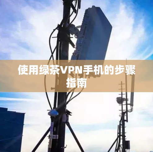 使用绿茶VPN手机的步骤指南