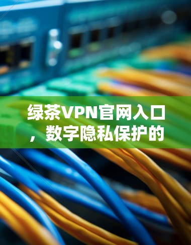 绿茶VPN官网入口，数字隐私保护的关键点