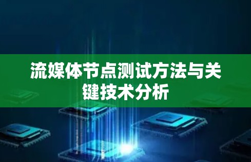 流媒体节点测试方法与关键技术分析 流媒体节点测试方法与关键技术分析