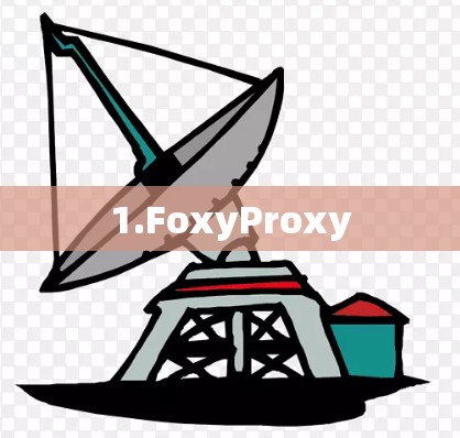 1.FoxyProxy