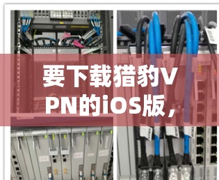 要下载猎豹VPN的iOS版，请按照以下步骤操作