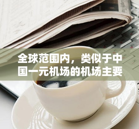 全球范围内，类似于中国一元机场的机场主要集中在使用相同货币政策的区域，特别是在美元区、欧元区和人民币区。以下是详细的分析和总结