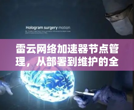 雷云网络加速器节点管理，从部署到维护的全解析