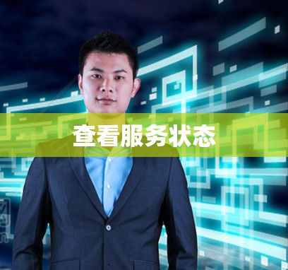 查看服务状态 查看服务状态