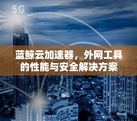 蓝鲸云加速器，外网工具的性能与安全解决方案
