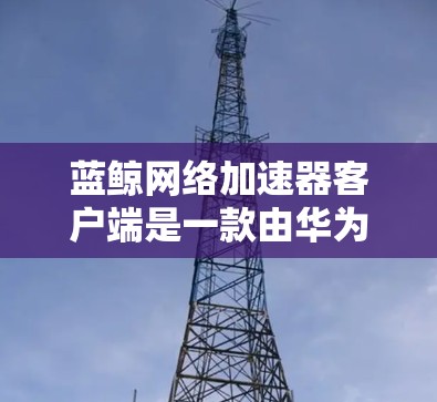 蓝鲸网络加速器客户端是一款由华为云计算有限公司开发的网络加速器客户端，用于优化和加速网络流量，主要应用于云计算和大数据场景。以下是关于该客户端的一些详细信息