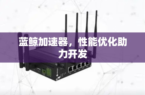 蓝鲸加速器，性能优化助力开发