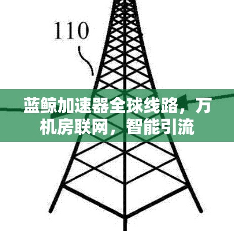 蓝鲸加速器全球线路,万机房联网,智能引流 蓝鲸加速器全球线路,万机房联网,智能引流