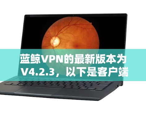 蓝鲸VPN的最新版本为 V4.2.3,以下是客户端下载指南 蓝鲸VPN的最新版本为 V4.2.3,以下是客户端下载指南