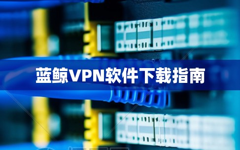 蓝鲸VPN软件下载指南